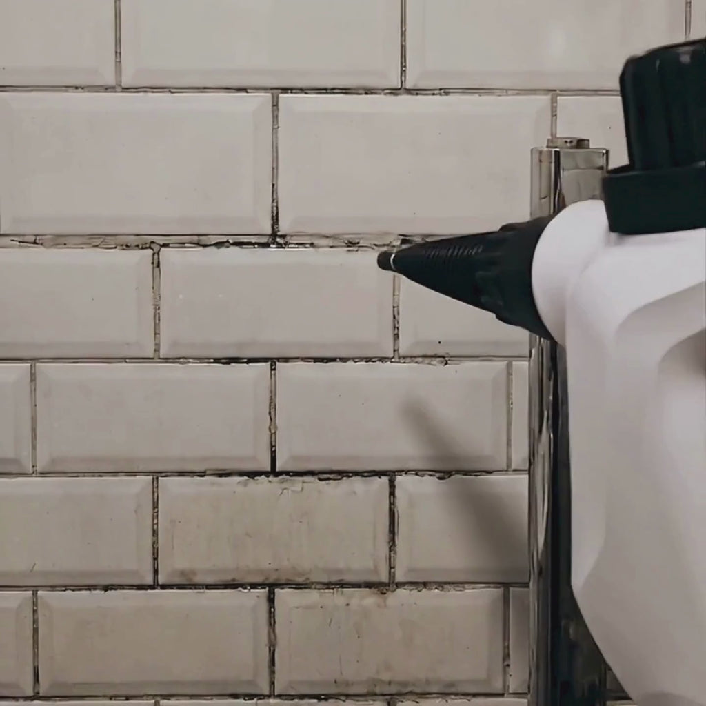 DrySteam™ Cleaner